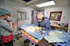 Surgery_gallery