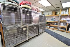 kennel_area_gallery
